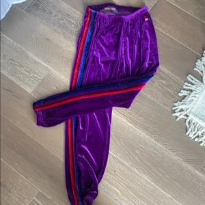 AVIATOR NATION velvet sweatpants